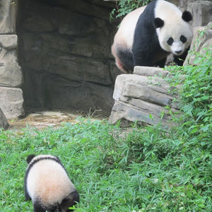 Meet your Posher, Alanna